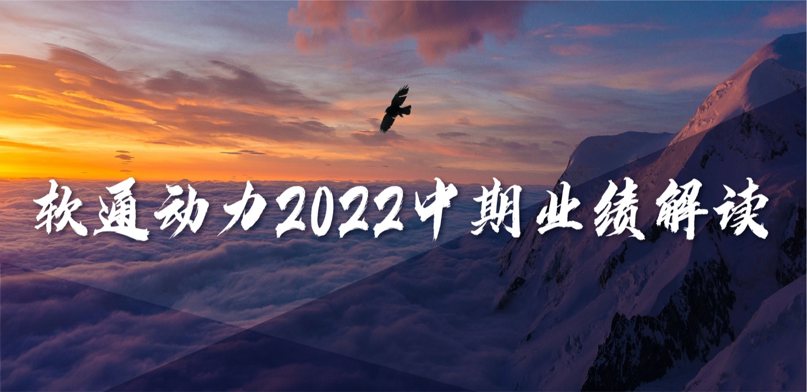 南宫NG·28(中国)相信品牌力量2022中期业绩：务实敢为，营收稳定增长，持续优化业务布局